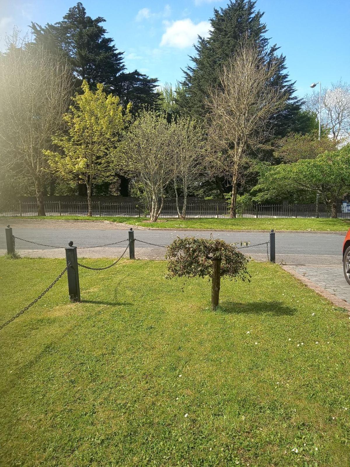 El Roi Guest Accommodation ウォーターフォード エクステリア 写真